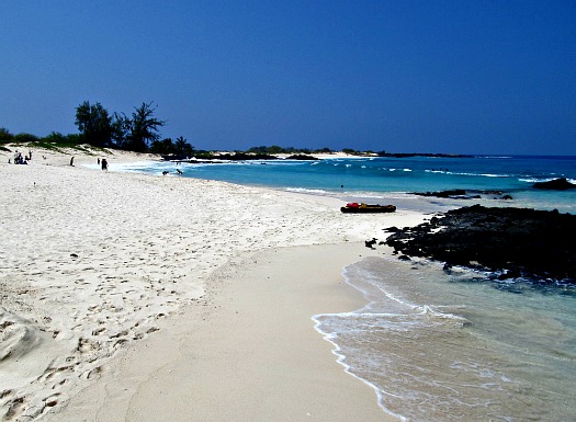 makalawena-beach-big-island-hawaii.jpg